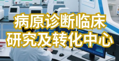 11月14日上午