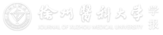 爱游戏体育app罗马赞助商