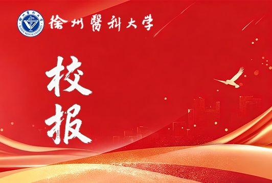 爱游戏体育app罗马赞助商