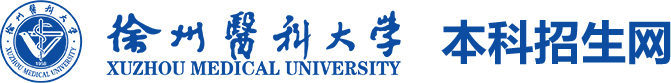 爱游戏体育app罗马赞助商